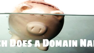 How Much Does a Domain Name Cost