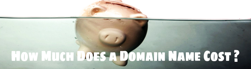 The Cost Of Domain Name – 3 Things to Consider !