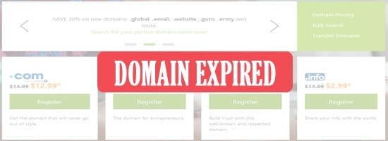 What happens after domain names expire at GoDaddy?
