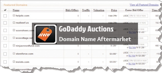 40% Off Godaddy Auctions Coupon in November 2023
