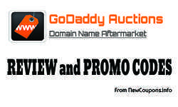 thumbnail-godaddy-auction