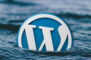 10 Reasons for Using WordPress for Business Websites