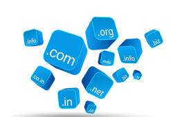 Importance of Domain Names and How They Impact SEO