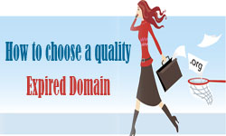 How to choose a quality expired domain on thumbnail