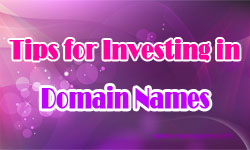 TB Tips for Investing in Domain Names