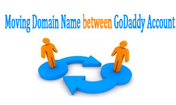 moving-domain-between-godaddy-account-tutorial