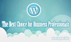 Why WordPress Is the Best Choice for Business Professionals