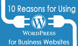 wordpress hosting for business
