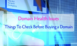domain health checker