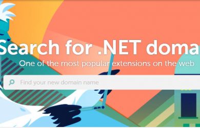 namecheap .net domain registration