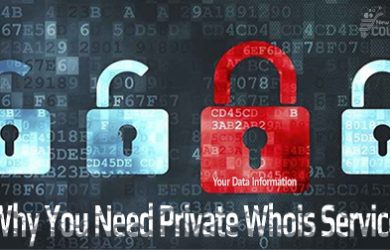 Why You Need to use Private Whois Service