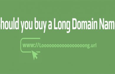 buy long domain name