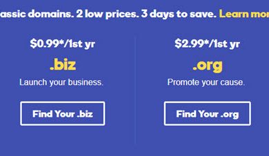 godaddy biz org info co domain on sale