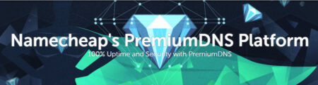 namecheap premiumdns platform