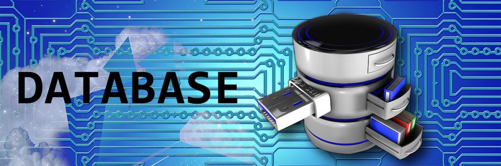Local Database vs. Separate Database: Which One Is The Best For Your Business?