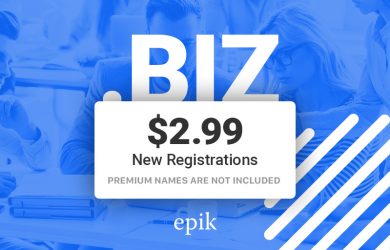 epik $2.99 .biz registration