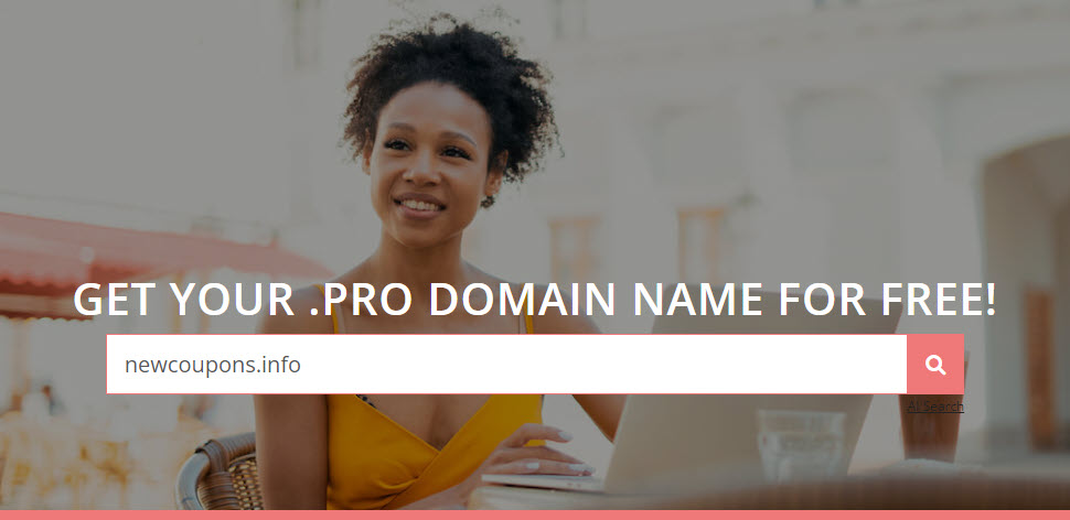 Get a Free .PRO Domain At Porkbun &#8211; Free Privacy