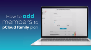 How to add members to pCloud Family plan